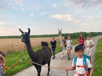 512 Lama-Trekking mit braeteln am Lagerfeuer (18)