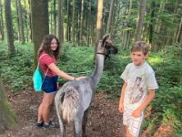 512 Lama-Trekking mit braeteln am Lagerfeuer (2)