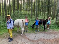 512 Lama-Trekking mit braeteln am Lagerfeuer (7)