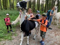 512 Lama-Trekking mit braeteln am Lagerfeuer (9)