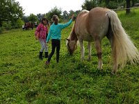 514 Pferde kennenlernen (7)