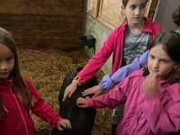 515 Besuch beim Bauern (1)