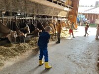 515 Besuch beim Bauern