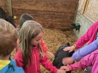 515 Besuch beim Bauern (3)