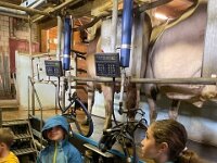 515 Besuch beim Bauern (7)