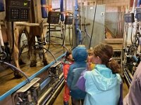 515 Besuch beim Bauern (8)