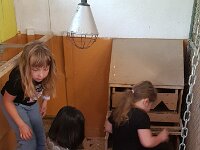 517 Spiel und Spass im Eselstall (10)