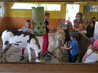 517 Spiel und Spass im Eselstall (11)