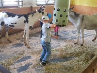 517 Spiel und Spass im Eselstall