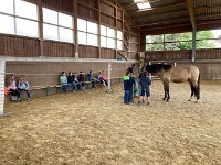 601 Wie lernt ein Pferd uns zu verstehen (10)