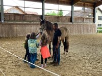 601 Wie lernt ein Pferd uns zu verstehen (11)