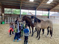 601 Wie lernt ein Pferd uns zu verstehen (19)