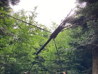 614 Abenteuer auf dem Freiämter Sagenweg (11)