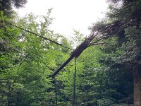614 Abenteuer auf dem Freiämter Sagenweg (12)