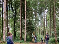 614 Abenteuer auf dem Freiämter Sagenweg (16)