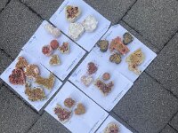230 Duschseife herstellen (4)