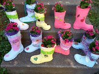 266 Blühender Gummistiefel