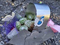 270 Alublech-Körbli basteln und bepflanzen (8)