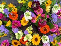 280 Weiden-Vase mit frischen Blumen (2)