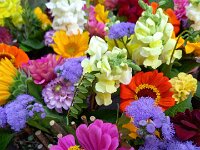 280 Weiden-Vase mit frischen Blumen (3)