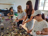 282 Weckglas mit gefriergetrockneter Rose (4)