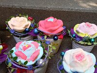 283 Farbenspiel-Rose (5)