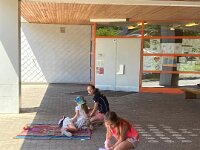 335 HELP Pflästerlikurs (1)