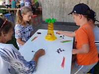448 Tisch- und Gesellschaftsspiele (4)