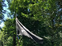 501 Waldpiraten (1)
