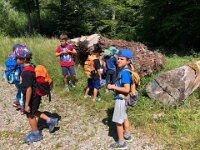 501 Waldpiraten (6)