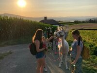 512 Lama Trekking