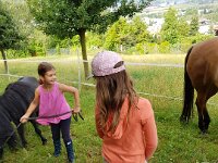 514 Pferde kennenlernen (1)