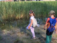 520 Bei Ringelnatter und Eisvogel (5)