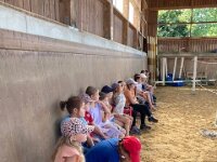 601 Wie lernt ein Pferd uns zu verstehen (15)
