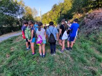 603 Was flattert da durch die Nacht (4)