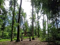 614 Abenteuer auf dem Freiämter Sagenweg (5)