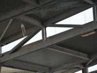 Jubiläumsfest (103)