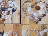 228 Bild aus Strandschätzen (2)