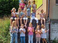 246 Bunte Blumenstecker (4)