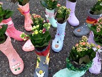 266 Blühender Gummistiefel