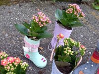 266 Blühender Gummistiefel (4)