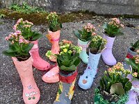 266 Blühender Gummistiefel (5)