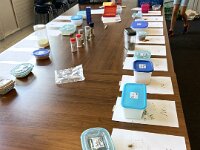 304 Süsses & Salziges (1)