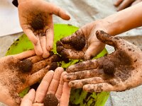 312 Samen-Blumenkugel