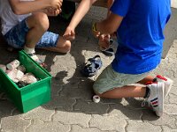 335 HELP Pflästerlikurs (5)