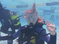 420 Schnuppertauchen (15)