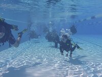 420 Schnuppertauchen (4)