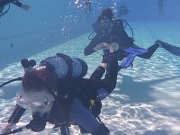 420 Schnuppertauchen (6)