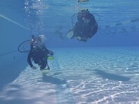 420 Schnuppertauchen (7)