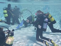 420 Schnuppertauchen (8)